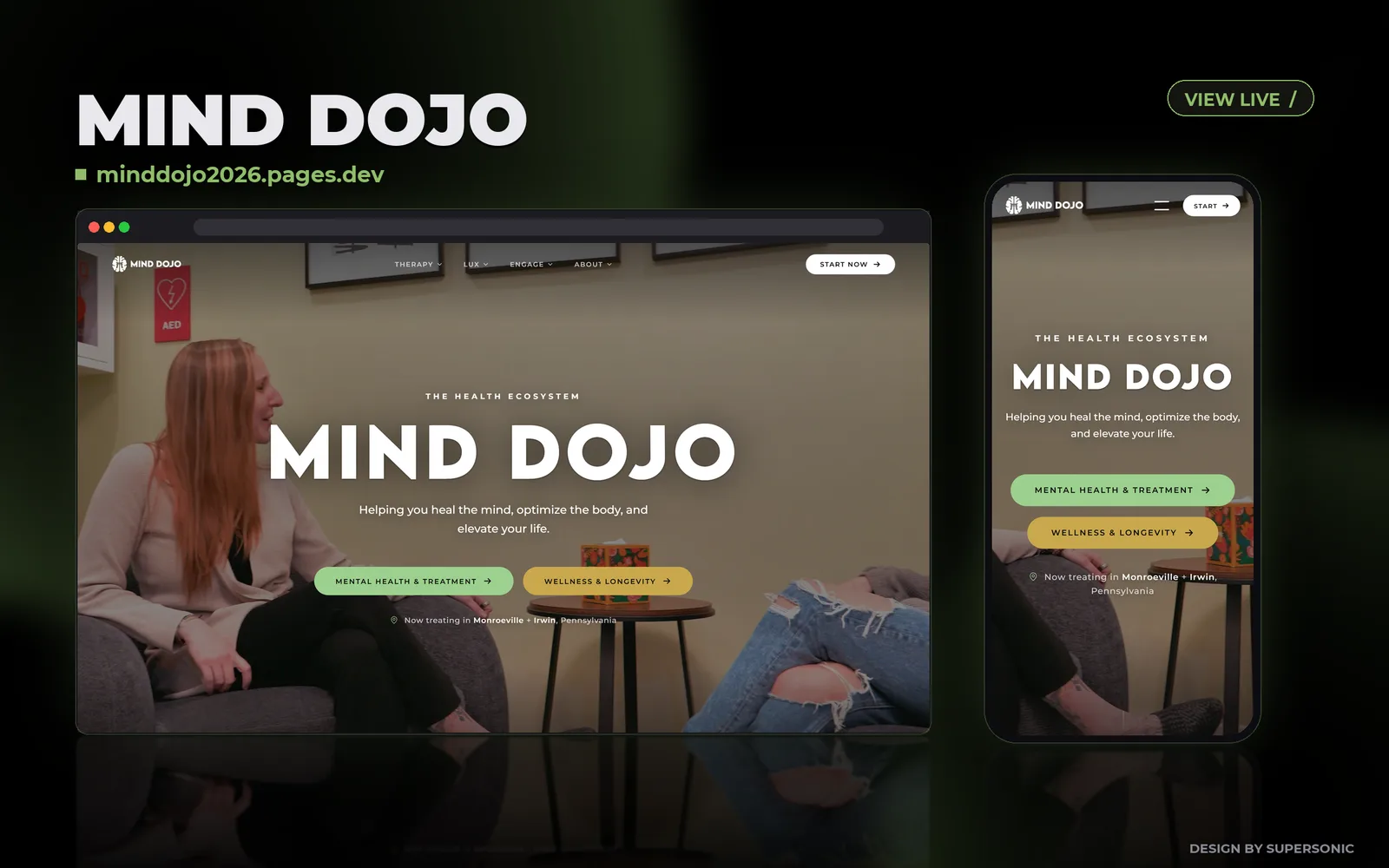 Mind Dojo website design preview